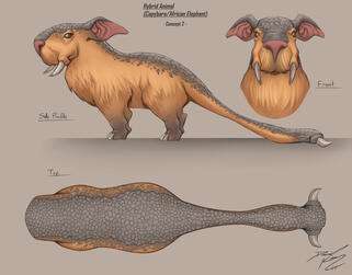 Elephara Animal Design